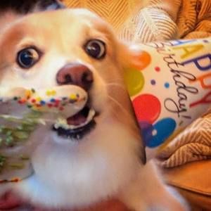 Meet your Posher, Jane